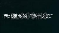 西北家乡的“热土之恋”，影片《爱在陇南》故事叙事与时代记录并行不悖